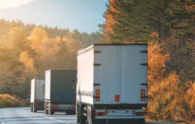 İstanbul ile Domaniç Arası Klima Taşıma